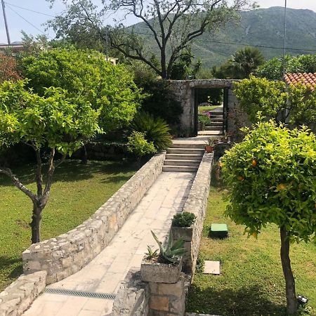 Charming Apartment For 3 Pax In Cavtat Exteriör bild