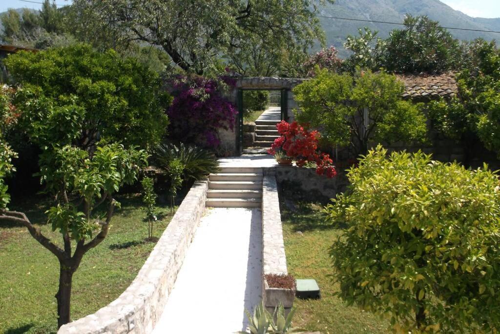 Charming Apartment For 3 Pax In Cavtat Exteriör bild