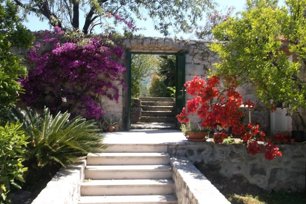 Charming Apartment For 3 Pax In Cavtat Exteriör bild