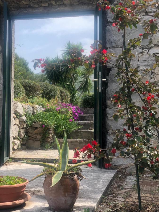 Charming Apartment For 3 Pax In Cavtat Exteriör bild