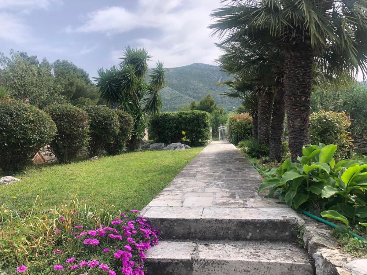 Charming Apartment For 3 Pax In Cavtat Exteriör bild